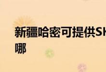 新疆哈密可提供SKG電水壺維修服務(wù)地址在哪