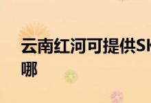 云南紅河可提供SKG電水壺維修服務(wù)地址在哪