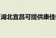 湖北宜昌可提供康佳電水壺維修服務(wù)地址在哪