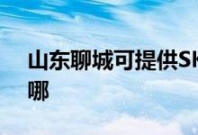 山東聊城可提供SKG電水壺維修服務(wù)地址在哪