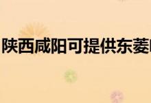 陜西咸陽(yáng)可提供東菱咖啡機(jī)維修服務(wù)地址在哪