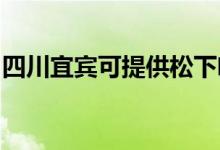 四川宜賓可提供松下咖啡機(jī)維修服務(wù)地址在哪
