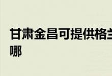 甘肅金昌可提供格蘭仕電烤箱維修服務地址在哪