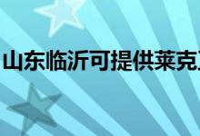 山東臨沂可提供萊克豆?jié){機(jī)維修服務(wù)地址在哪