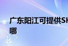 廣東陽江可提供SKG咖啡機維修服務(wù)地址在哪