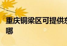 重慶銅梁區(qū)可提供東菱電烤箱維修服務(wù)地址在哪