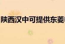 陜西漢中可提供東菱電烤箱維修服務地址在哪