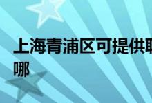 上海青浦區(qū)可提供聯(lián)創(chuàng)電烤箱維修服務(wù)地址在哪