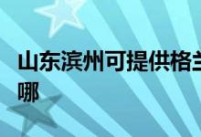 山東濱州可提供格蘭仕電烤箱維修服務(wù)地址在哪