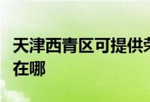 天津西青區(qū)可提供榮事達(dá)電烤箱維修服務(wù)地址在哪