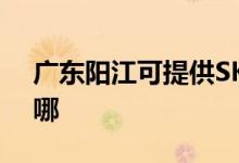 廣東陽(yáng)江可提供SKG電烤箱維修服務(wù)地址在哪