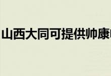 山西大同可提供帥康電烤箱維修服務(wù)地址在哪