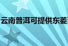 云南普洱可提供東菱面包機(jī)維修服務(wù)地址在哪