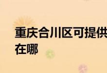 重慶合川區(qū)可提供SKG電烤箱維修服務(wù)地址在哪