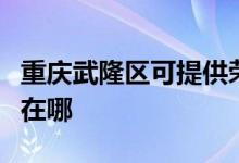 重慶武隆區(qū)可提供榮事達(dá)電烤箱維修服務(wù)地址在哪