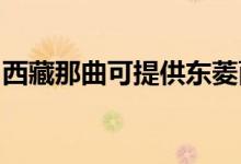 西藏那曲可提供東菱面包機(jī)維修服務(wù)地址在哪
