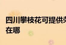 四川攀枝花可提供榮事達(dá)電烤箱維修服務(wù)地址在哪