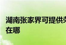 湖南張家界可提供榮事達(dá)電烤箱維修服務(wù)地址在哪