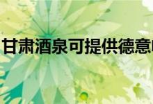 甘肅酒泉可提供德意電烤箱維修服務(wù)地址在哪