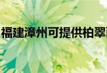 福建漳州可提供柏翠面包機(jī)維修服務(wù)地址在哪