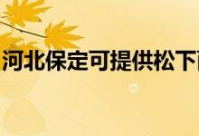 河北保定可提供松下面包機維修服務地址在哪