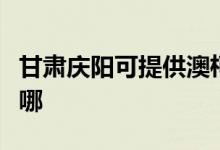 甘肅慶陽(yáng)可提供澳柯瑪面包機(jī)維修服務(wù)地址在哪