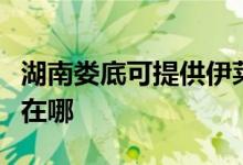 湖南婁底可提供伊萊克斯面包機(jī)維修服務(wù)地址在哪