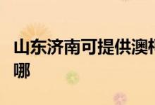 山東濟(jì)南可提供澳柯瑪面包機(jī)維修服務(wù)地址在哪