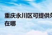 重慶永川區(qū)可提供榮事達(dá)加濕器維修服務(wù)地址在哪