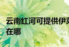 云南紅河可提供伊萊克斯面包機(jī)維修服務(wù)地址在哪
