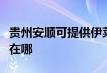 貴州安順可提供伊萊克斯面包機維修服務地址在哪