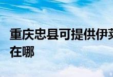重慶忠縣可提供伊萊克斯面包機維修服務地址在哪