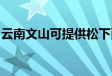 云南文山可提供松下面包機維修服務地址在哪