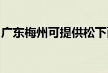 廣東梅州可提供松下面包機維修服務地址在哪