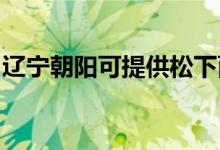 遼寧朝陽可提供松下面包機維修服務地址在哪