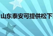 山東泰安可提供松下面包機維修服務地址在哪
