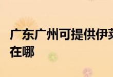 廣東廣州可提供伊萊克斯面包機維修服務地址在哪