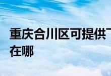 重慶合川區(qū)可提供飛利浦面包機維修服務地址在哪
