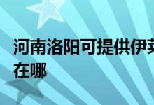 河南洛陽可提供伊萊克斯面包機維修服務地址在哪
