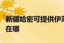 新疆哈密可提供伊萊克斯面包機(jī)維修服務(wù)地址在哪