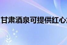甘肅酒泉可提供紅心加濕器維修服務(wù)地址在哪