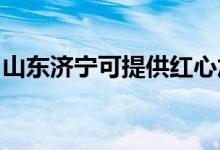 山東濟寧可提供紅心加濕器維修服務(wù)地址在哪