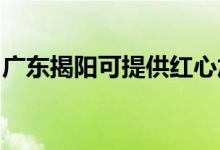 廣東揭陽可提供紅心加濕器維修服務(wù)地址在哪