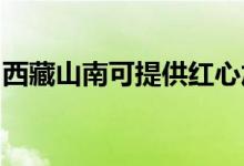 西藏山南可提供紅心加濕器維修服務(wù)地址在哪