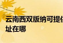 云南西雙版納可提供艾美特加濕器維修服務(wù)地址在哪
