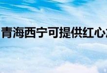 青海西寧可提供紅心加濕器維修服務(wù)地址在哪