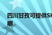 四川甘孜可提供SKG加濕器維修服務地址在哪