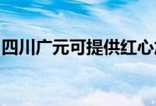四川廣元可提供紅心加濕器維修服務(wù)地址在哪