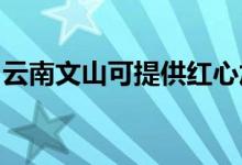 云南文山可提供紅心加濕器維修服務(wù)地址在哪