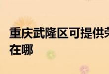 重慶武隆區(qū)可提供榮事達(dá)電風(fēng)扇維修服務(wù)地址在哪